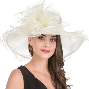 ⭐️ Fascinator Hat